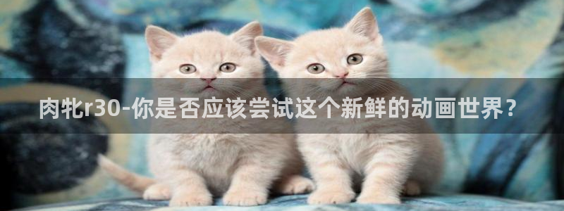 omofun官网：肉牝r30-你是否应该尝试这个新鲜的动画世界？