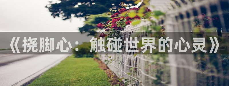 omofun.动漫在线看：《挠脚心：触碰世界的心灵》