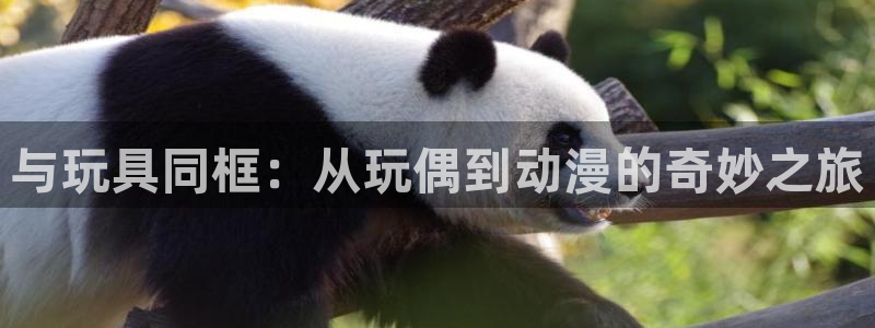 omofun网页：与玩具同框：从玩偶到动漫的奇妙之旅