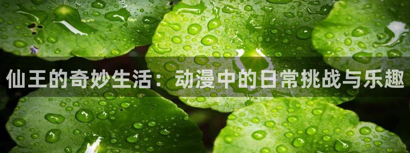 omofun怎么下载