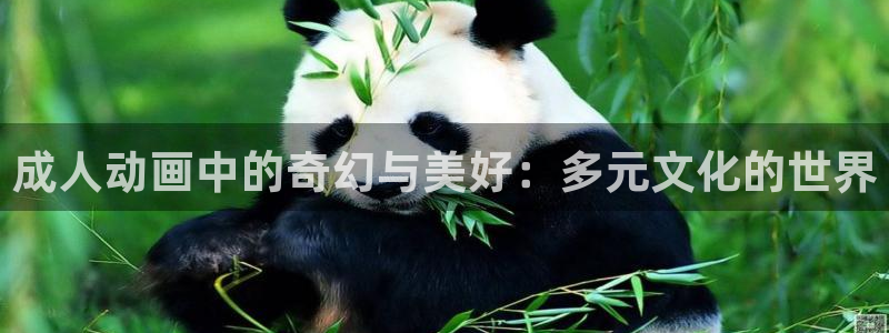 omofun全新版官网入口