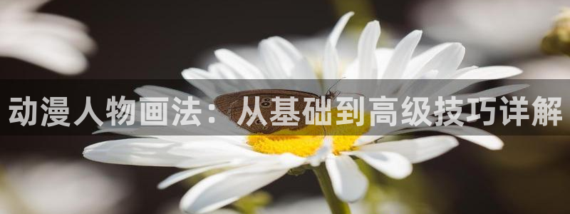 动漫omofun下载：动漫人物画法：从基础到高级技巧详解