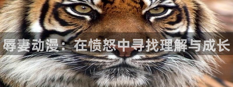 下载omofun动漫：辱妻动漫：在愤怒中寻找理解与成长