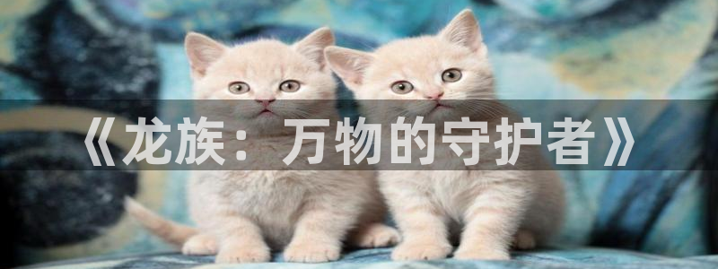 omofun官方网页
