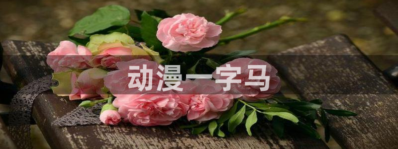 omofun官网网站入口：动漫一字马