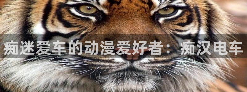 @omofun：痴迷爱车的动漫爱好者：痴汉电车